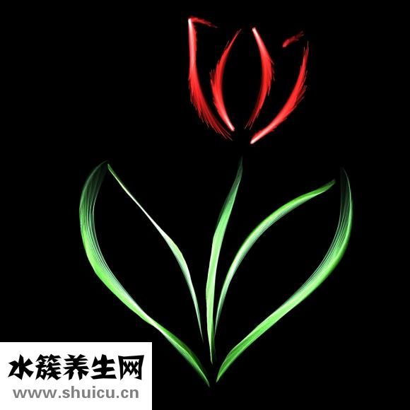 花生殼怎么用