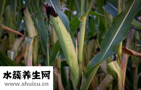 耳膜破了怎么辦