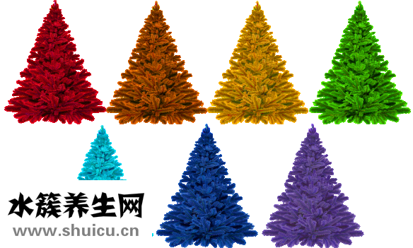 補(bǔ)腎吃什么好