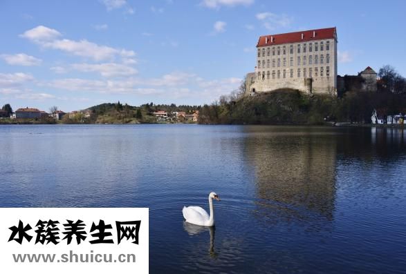 舌頭發白是什么原因