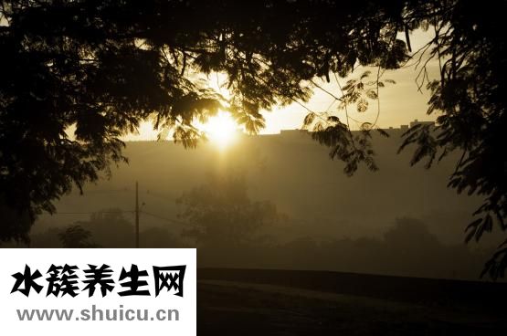 老年人吃什么補(bǔ)鈣