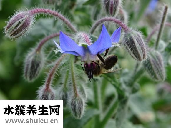 怎么去除魚尾紋