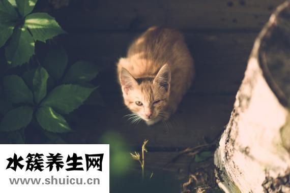 如何緩解眼疲勞