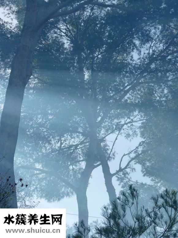 懷孕多久能知道