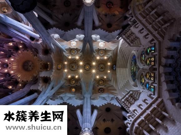 沙丁魚(yú)怎么做好吃