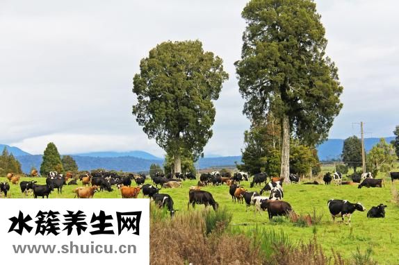 怎么樣才可以去眼袋