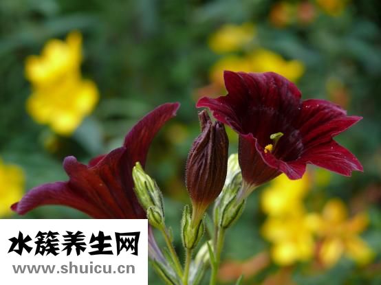 怎么樣才可以去眼袋