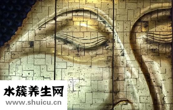 草字頭有什么字