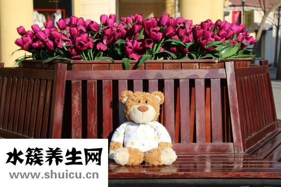 化療后掉頭發(fā)怎么辦