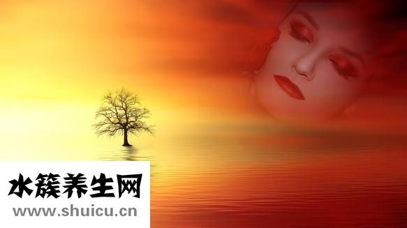 老年人吃什么補(bǔ)鈣