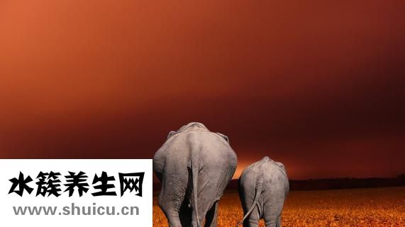 大便有血是怎么回事