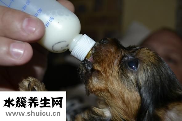 胃痛吃什么食物好