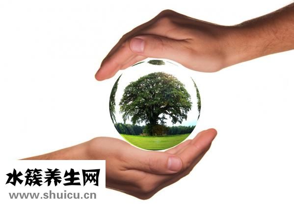 滑膜肉瘤能活多久