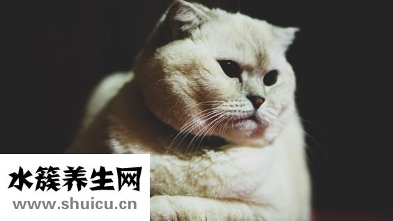 鼻子脫皮怎么辦