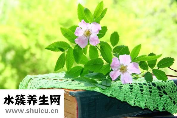 月經期間注意什么