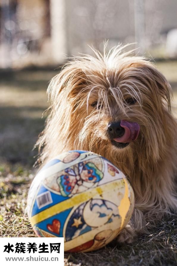 鼻子上長痘痘怎么治