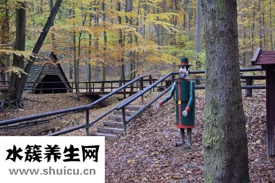 類(lèi)風(fēng)濕用什么藥