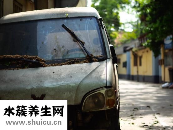 怎么祛斑和美白