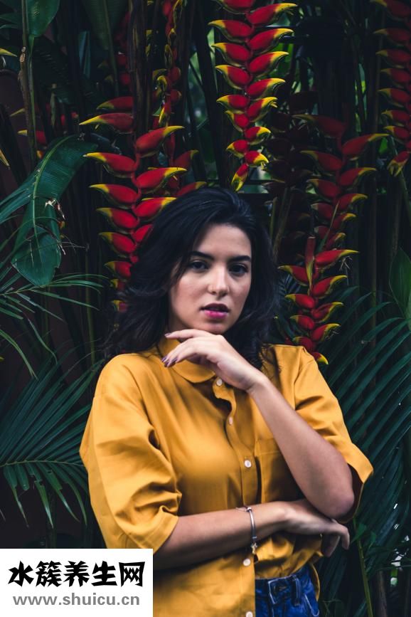 如何辦理準生證