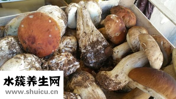 滑膜肉瘤能活多久