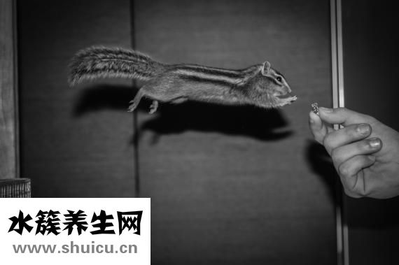 生活中有哪些小竅門