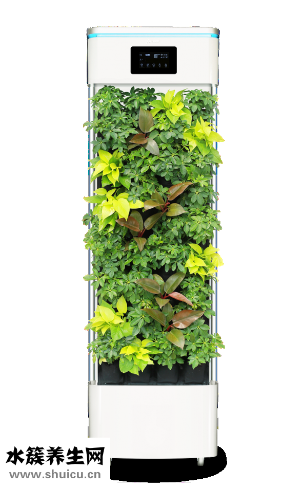 空氣凈化器哪個好