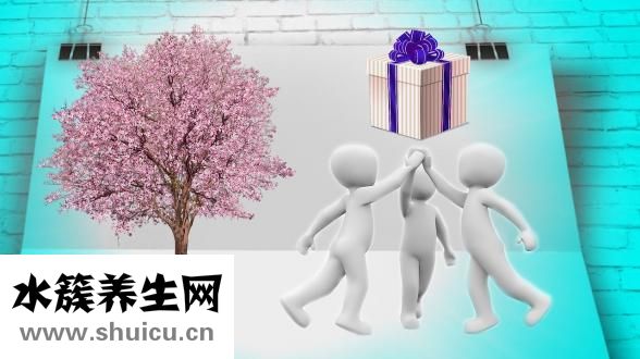 同學用英語怎么說