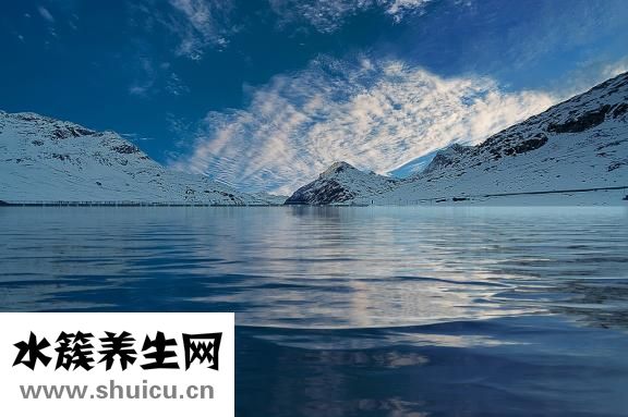 天的孩子叫什么