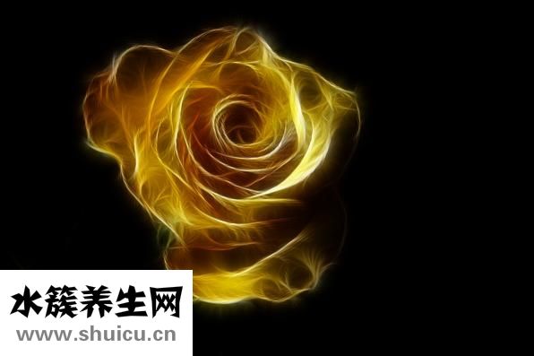 有妊娠紋怎么辦