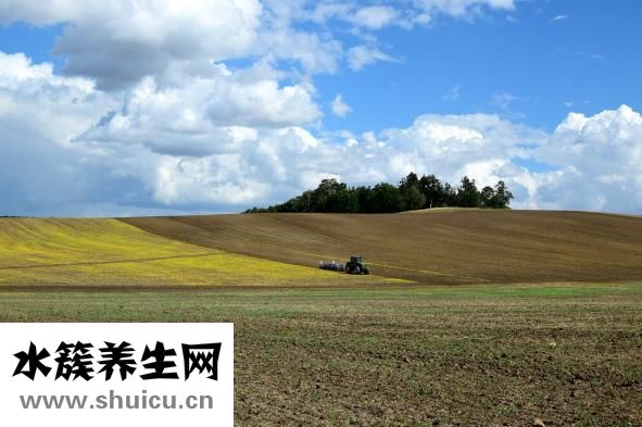 懷孕的癥狀有哪些