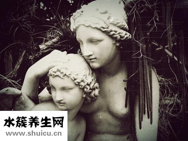 胎夢(mèng)有哪些