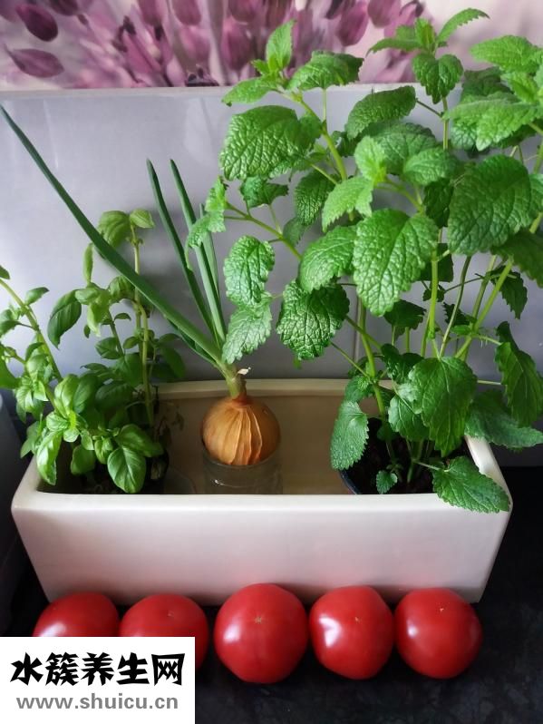 孩子智力低下怎么辦