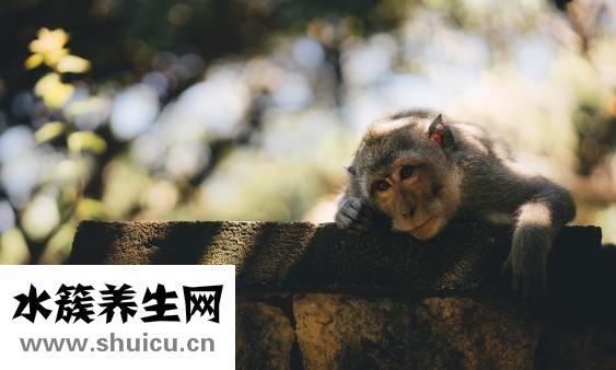 寶寶吐奶是什么原因