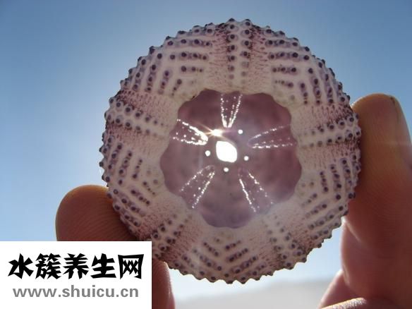 類(lèi)風(fēng)濕用什么藥