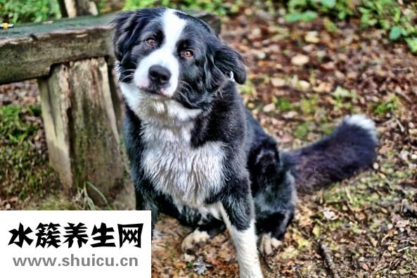 鼻子有點歪怎么辦