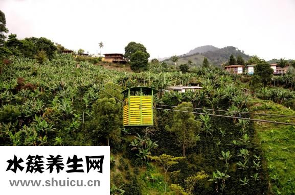 毛發種植哪里有