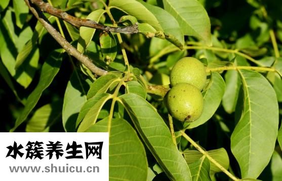 支氣管炎干咳怎么辦