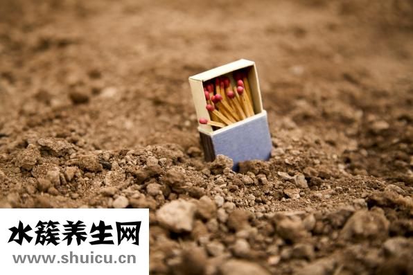 究竟的近義詞是什么