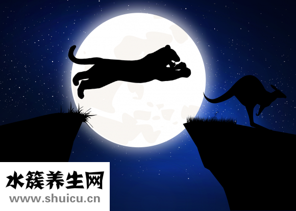 神經衰弱失眠怎么辦