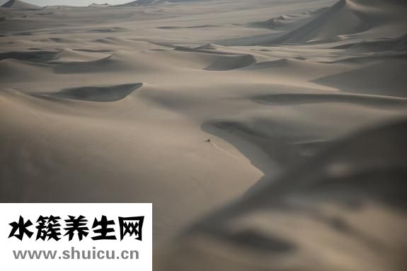 心情不好怎么發泄