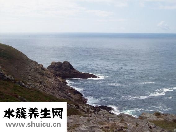 掉頭發(fā)缺什么