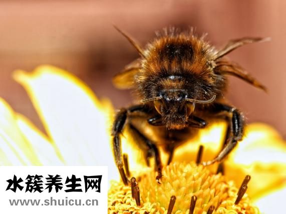 如何去掉魚尾紋