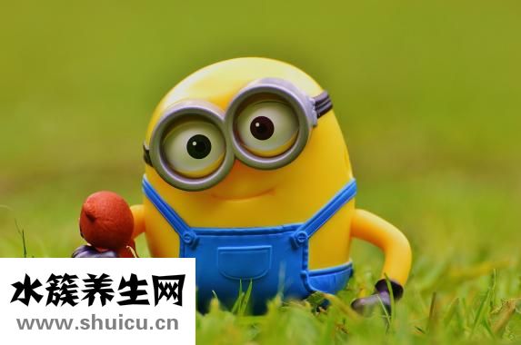 寶寶喝什么奶粉好