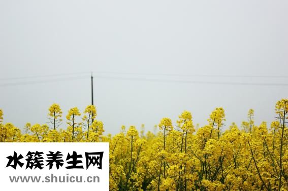 膚色暗沉怎么辦