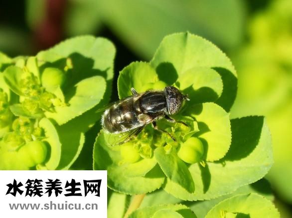 如何去掉魚尾紋