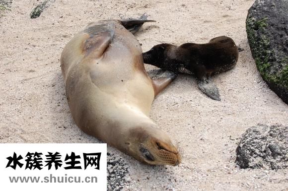 如何消除魚尾紋