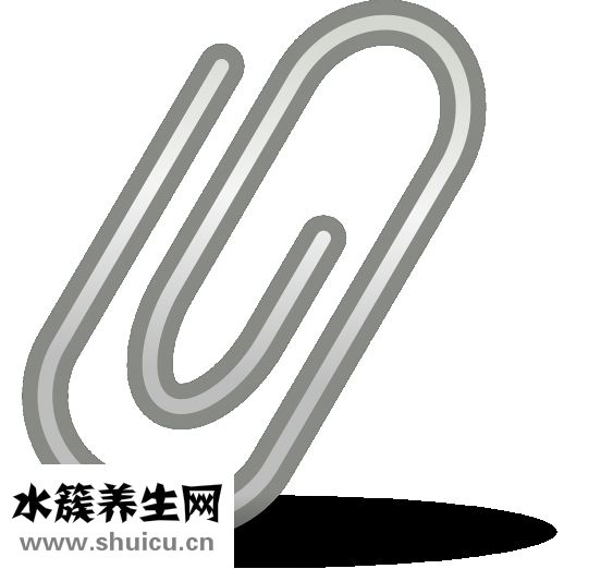 附件囊腫怎么治療