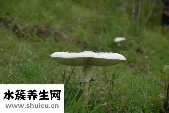 腳底脫皮怎么辦