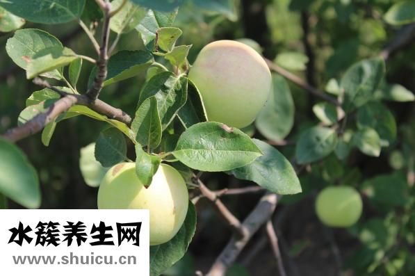 怎么去眼部皺紋