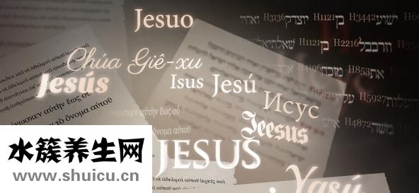 怎么樣提高記憶力